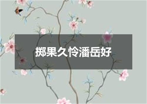 掷果久怜潘岳好