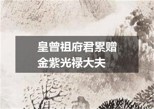 皇曾祖府君累赠金紫光禄大夫