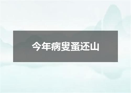 今年病叟蚤还山