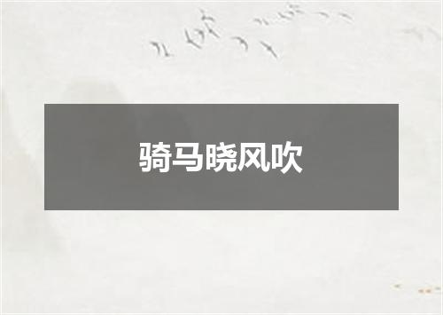 骑马晓风吹