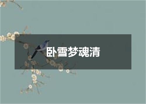 卧雪梦魂清