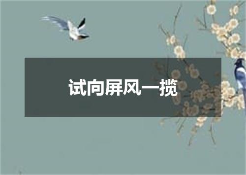 试向屏风一揽