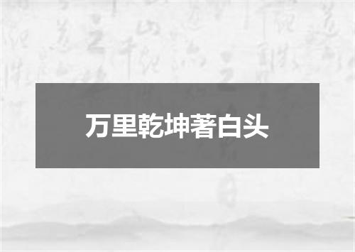 万里乾坤著白头