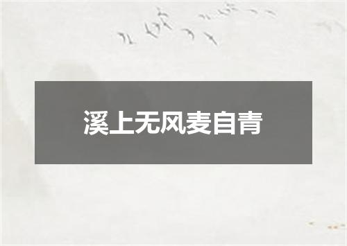 溪上无风麦自青