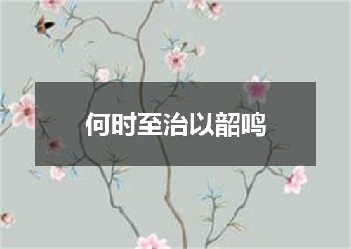 何时至治以韶鸣