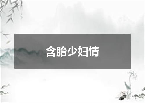 含胎少妇情