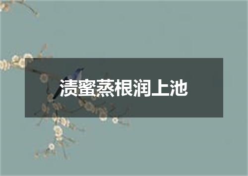 渍蜜蒸根润上池
