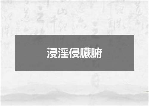 浸淫侵臓腑