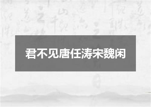 君不见唐任涛宋魏闲
