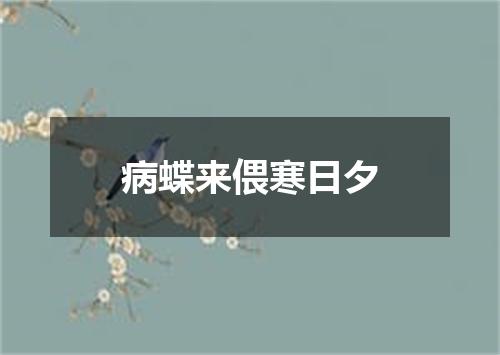 病蝶来偎寒日夕