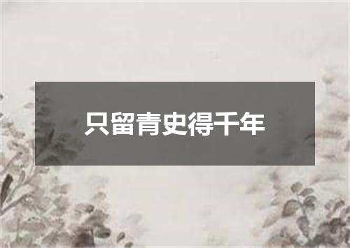 只留青史得千年