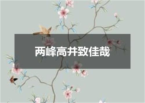 两峰高并致佳哉