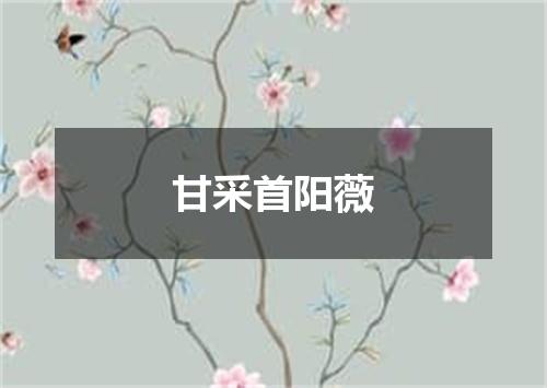 甘采首阳薇