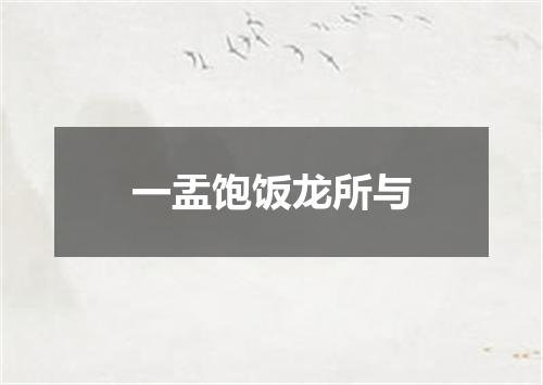 一盂饱饭龙所与