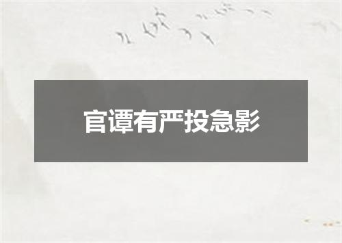 官谭有严投急影