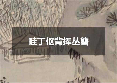 畦丁伛背挥丛篲