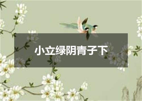 小立绿阴青子下