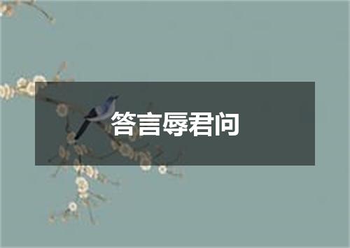 答言辱君问
