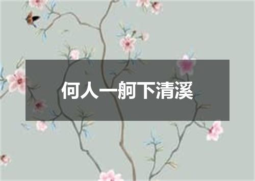 何人一舸下清溪