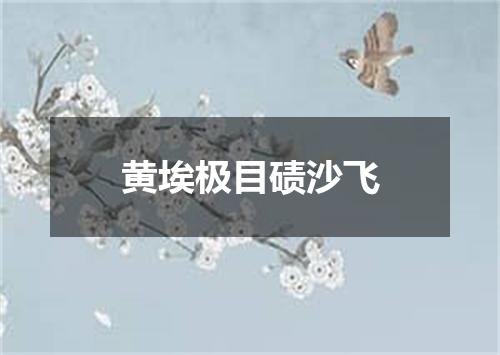 黄埃极目碛沙飞