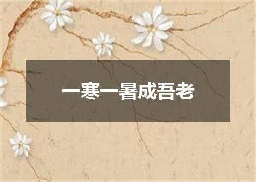 一寒一暑成吾老
