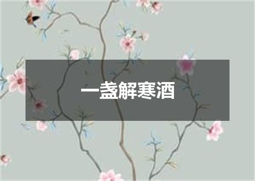 一盏解寒酒