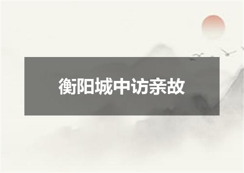 衡阳城中访亲故