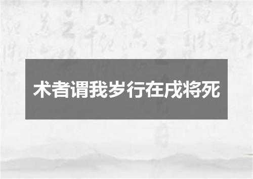 术者谓我岁行在戌将死