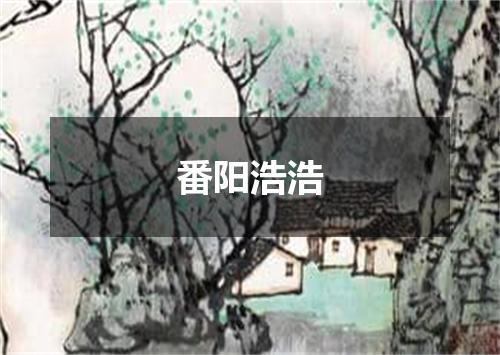 番阳浩浩