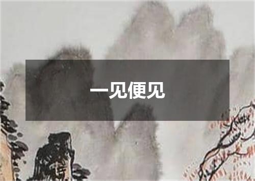 一见便见
