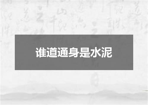 谁道通身是水泥