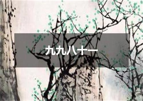 九九八十一