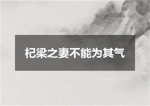 杞梁之妻不能为其气