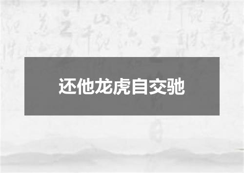 还他龙虎自交驰