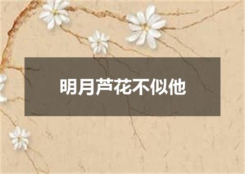 明月芦花不似他