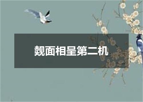 觌面相呈第二机
