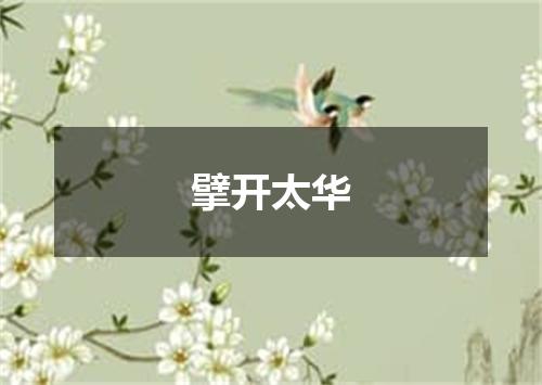 擘开太华