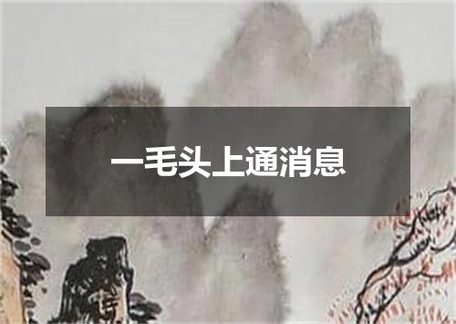 一毛头上通消息