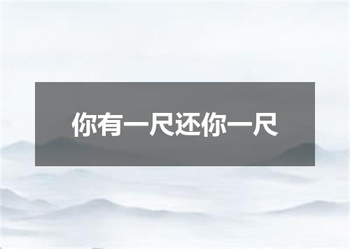 你有一尺还你一尺