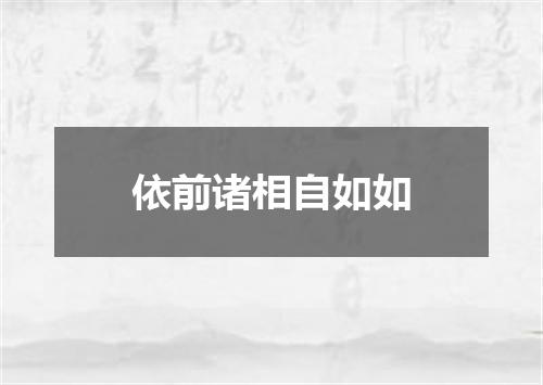 依前诸相自如如