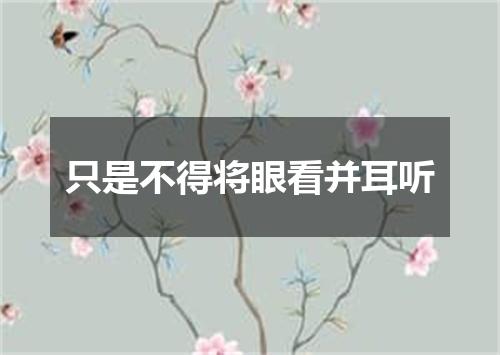 只是不得将眼看并耳听