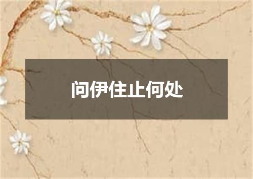 问伊住止何处