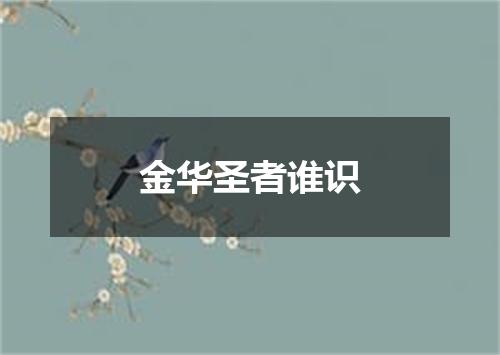 金华圣者谁识