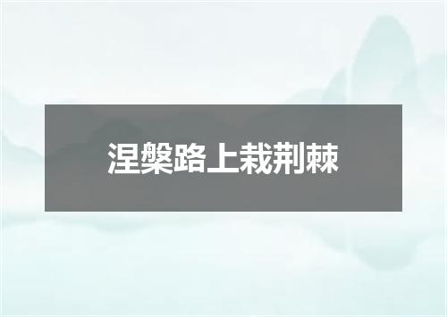 涅槃路上栽荆棘