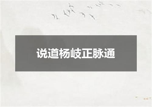 说道杨岐正脉通