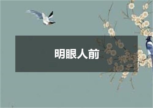 明眼人前