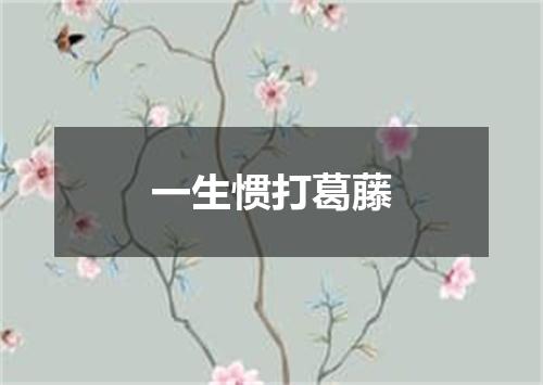 一生惯打葛藤