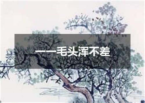 一一毛头浑不差