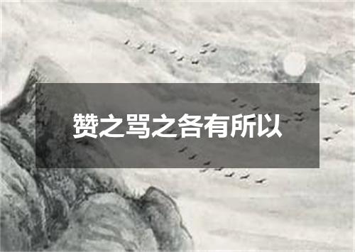 赞之骂之各有所以