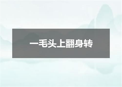 一毛头上翻身转